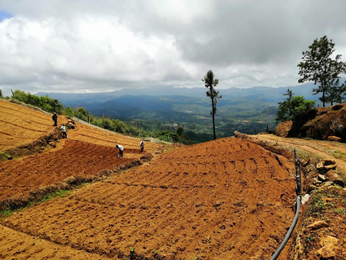 Unique View Nuwaraeliya Hotel Nuwara Eliya Eksteriør billede